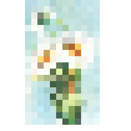 Почтовая карточка