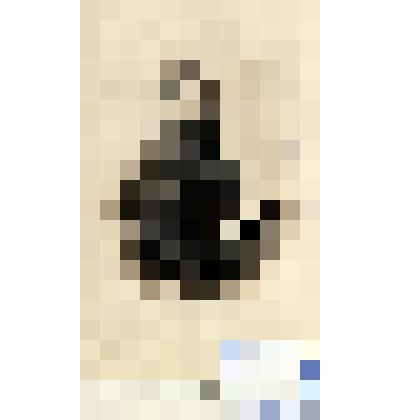 Фотография черно-белая. Рамм II-й Эрнест Николаевич