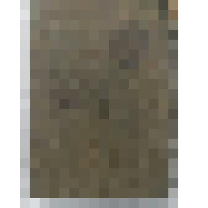 паспорт V-МО №645473