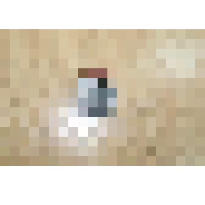 Часть медали "Ветеран труда"