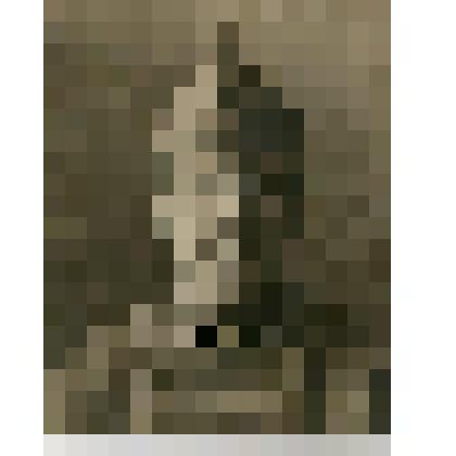 Фотография. Павел Семенович Жуков в красноармейской форме