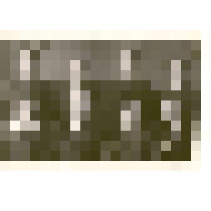 Фотография: бригада коммунистического труда Каменского авторемонтного завода