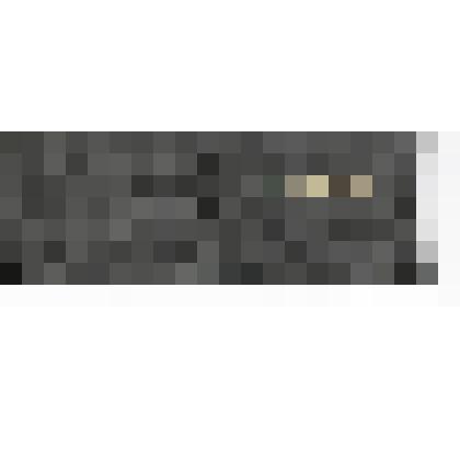 Документ. Пропуск № 74 главного инженера Жгутова В.С