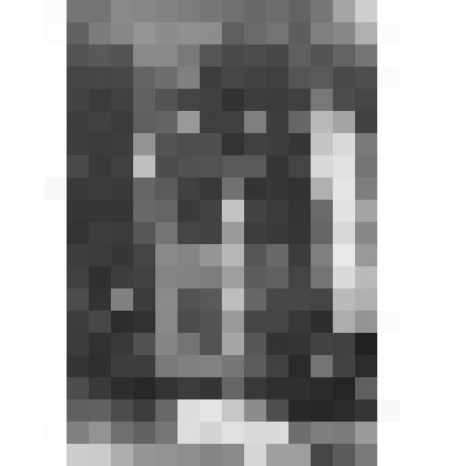 Большой дворец. Западный Китайский кабинет. Западная стена. Дверь в Белую столовую. 1918 г