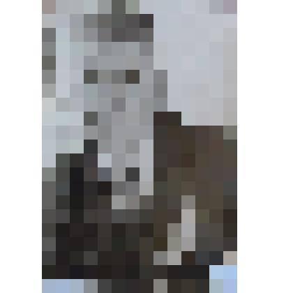 Фотография. Шафранов Петр Григорьевич - строитель железной дороги