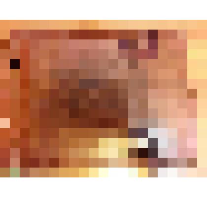 Фотоальбом. Фотоальбом  Нелидовской школы- интерната  Московскому музею Н.А. Островского  в день 25- летия со дня его открытия