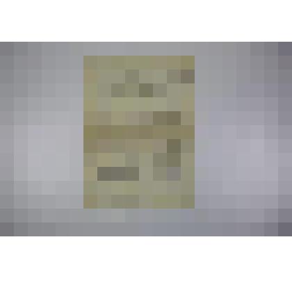 Документ. Рукопись комментариев Н.И. Толстой к [сборнику стихотворений В. Набокова]. Из комплекта: Архив Н.И. Артеменко-Толстой