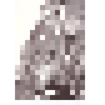 Фотография видовая. Поселок Эгвекинот летом 1947г