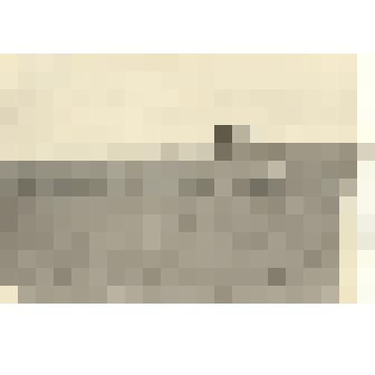 Фотография: прикатывание почвы на тракторе К-Д-П-35 в совхозе "Октябрь" Каменского района Алтайского края. Тракторист Кексель А.Ф