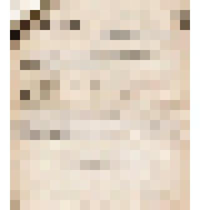 Телеграмма № 196 в г. Ирбит В.Н.Алину от Кабальнова, Халфина из г. Н.Челны, 14.02.1908 г