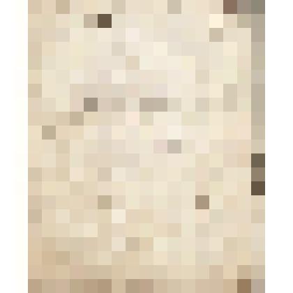 Книга для отпуска хлеба Чердынского купца Г.П.Гусева, 1871 г