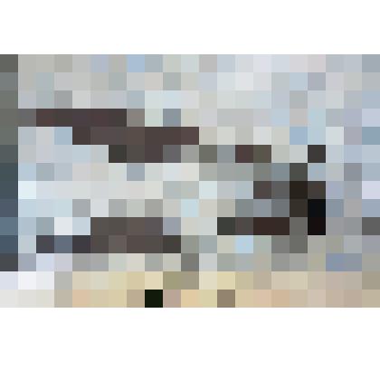 Ножницы для стрижки овец