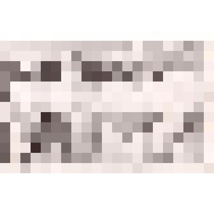 Фотография групповая. Студенты Челябинского мединститута с руководителем практики и врачом акушеро-гинекологом Сорокиной Ниной Константиновной (в центре) делают обход больных хирургического отделения. У кровати с больной женщиной стоят: (слева-направо) 1