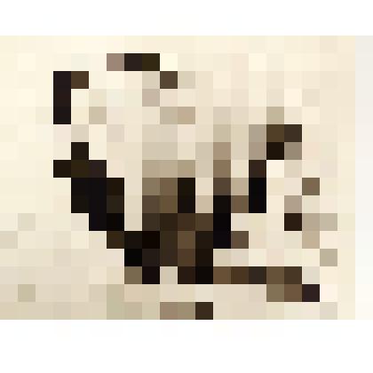 Девушка и мальчик