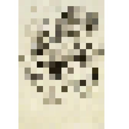 Иллюстрация к повести В. Катаева "Сын полка"