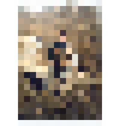 Фотография "Снайпер Некрасов Александр Николаевич"