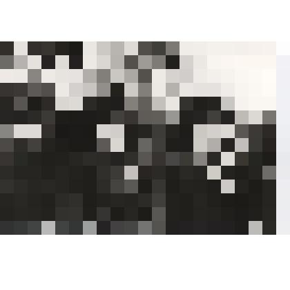 Групповая. Л.П.Ефременков в центре. Фотография