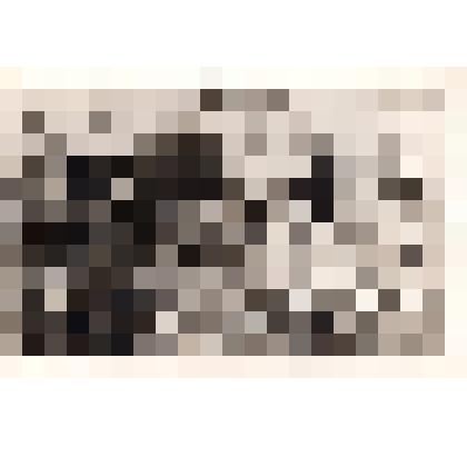 Фотография Мать и брат погибшего на Дону воина Власова А. со старшеклассниками