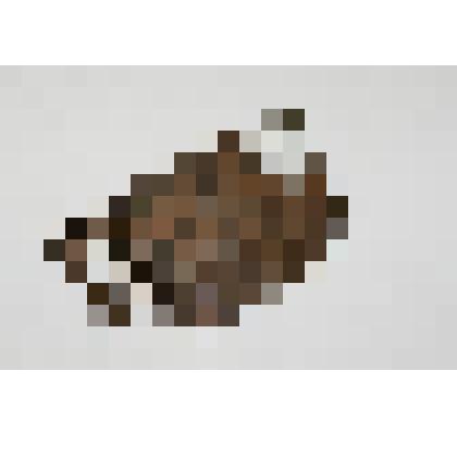 Гребень (фрагмент)