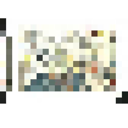 коллекция графики Лагодича В. Ф. Графическая работа "Ветеран"