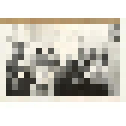 Фотография: на выставке в Каменской картинной галерее