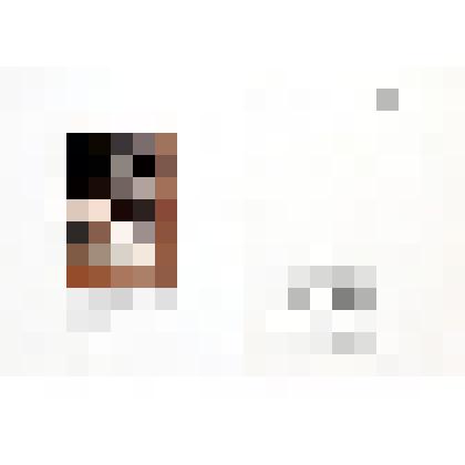 Авторская книга «Сады моей души…  12 стихотворений поэтов Серебряного века». 1994. Лист 10. Разворот