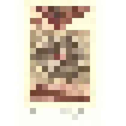 EX LIBRIS Зураба Церетели. 2006