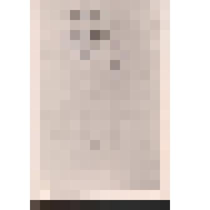 Фотокопия  с автографа поэмы "Боярин Орша"