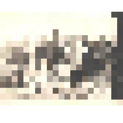 Фотография. Ученики у лесополосы, в центре учитель Лаптева А.П