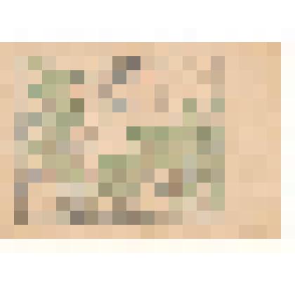 Документ. План местности в окрестностях деревень Алешня и Деребино Смоленской области. Из коллекции материалов о Белопухове Сергее Семеновиче (1900-1975), уроженце села Гольцовка Георгиевской волости Кинешемского уезда Костромской губернии, участнике Вели