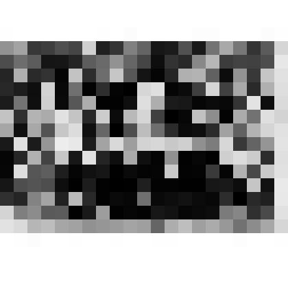 Фотография .Выпуск Явкиной Л. А. 1964 год