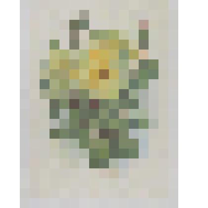 Письмо Степановой А.И