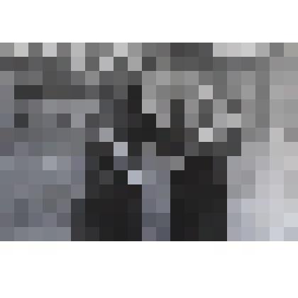 Фото Бивни мамонта