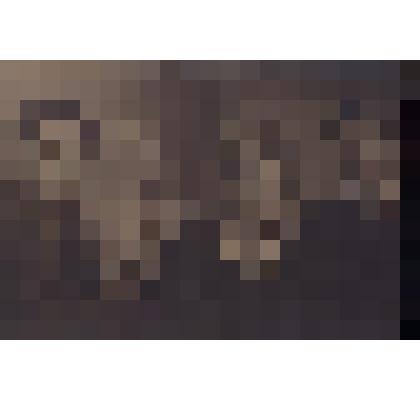 Фотография. Поляновский М.Л., Смирнова С., Кассиль Л.А