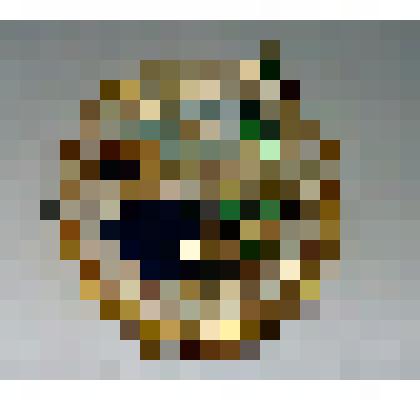 Значок "Всероссийского общества охраны природы" СССР