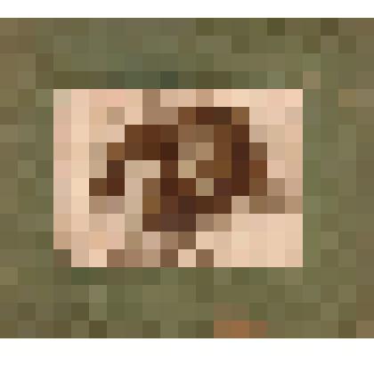 Фото. Гулякина Галина Ивановна