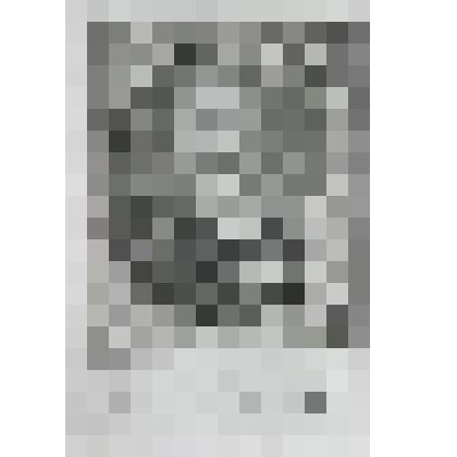 Портрет Иоганна Конрада Рюкера, юриста, профессора права в Лейдене