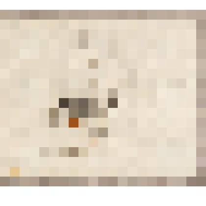 Баржа с парусом, из альбома  «190 пейзажей; зарисовки, иллюстрации, карикатуры»