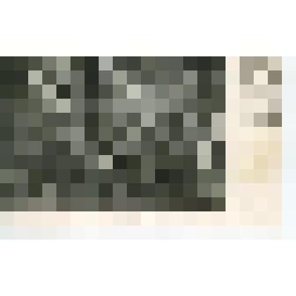 ОткрыткаРепродукция с фотографии. Могила Л.Н.Толстого. Фото В.Г.Черткова. 1911г