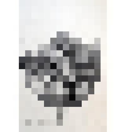 Памятник И.А. Крылову