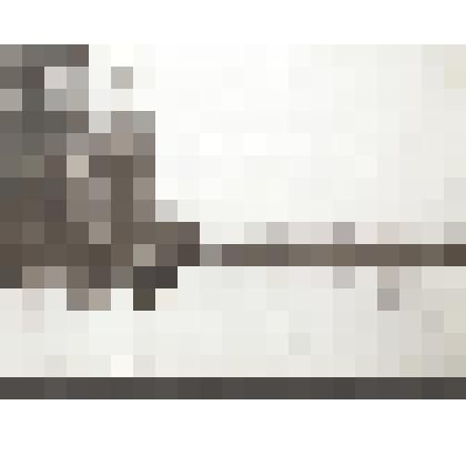 Л.Н.Толстой верхом в окрестностях Ясной Поляны