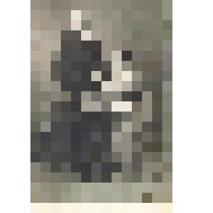 Фотопортрет. Книжник Наталья Самойловна с мужем