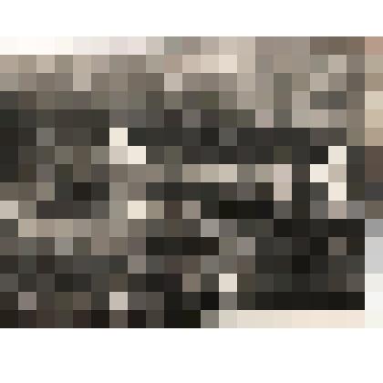 Фотография воспитанников д/сада на прогулке