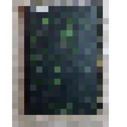 Журнал "Вестник Европы", июнь 1910 г