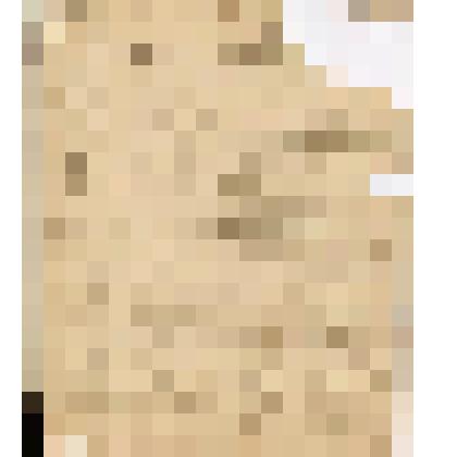 Телеграмма № 184 в г. Ирбит Головину от Алина  из г. Чердыни, 11.02.1912 г