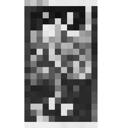 Экслибрис "Из книг Петра Митрофановича Богданова"