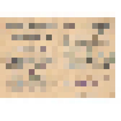 Документ. Свидетельство № 29 Фарисеева Ивана Григорьевича (1897г.жр.), в том что он прошел полугодовое обучение по программе шофер 3 класса 1956г