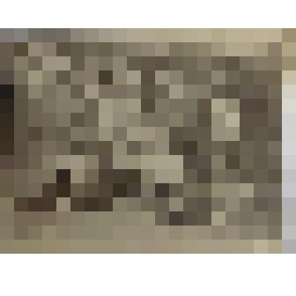 Фотография. Целина. Строительство зерносклада