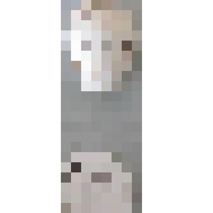 Ласточка деревенская. Ласточковые. Из коллекции птичьих яиц