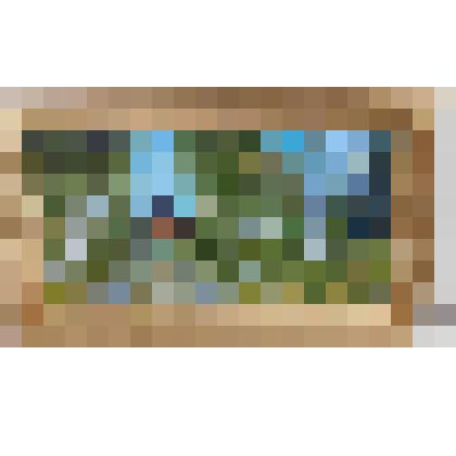 Картина «Мемориальный комплекс села Мамонтово»